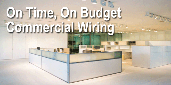 Outdoor image of a house with lighted landscape. Quote - Indoor and out, EF Electric will light up your world.